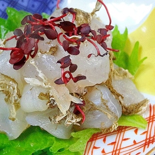 先付レシピ 作り方の人気順 簡単料理の楽天レシピ 先付レシピ 作り方の人気順 簡単料理の楽天レシピ